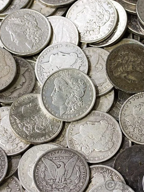 Top 13 Valuable Silver Dollars You Could Have